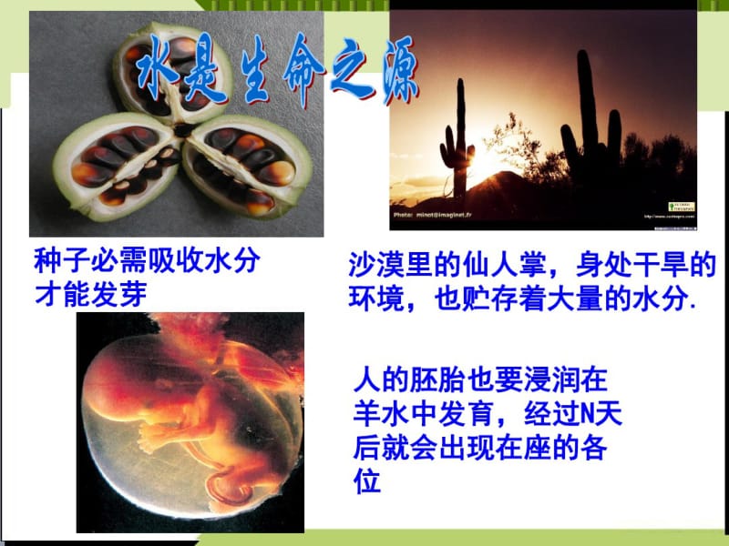 人教版高中生物必修一第二章第五节细胞中的无机物教学课件(4).pdf_第2页