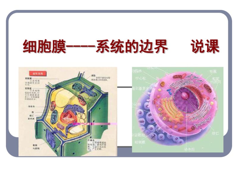 人教版高中生物必修一第三章第一节《细胞膜——系统的边界》说课课件.pdf_第1页