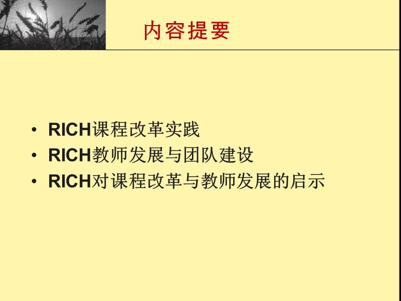 RICH课程实践与教师发展.ppt_第2页