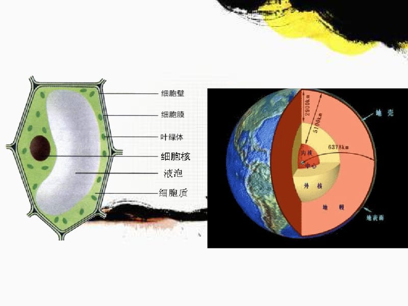 人教版高一生物必修一2.1细胞中的元素和化合物课件.pdf_第2页