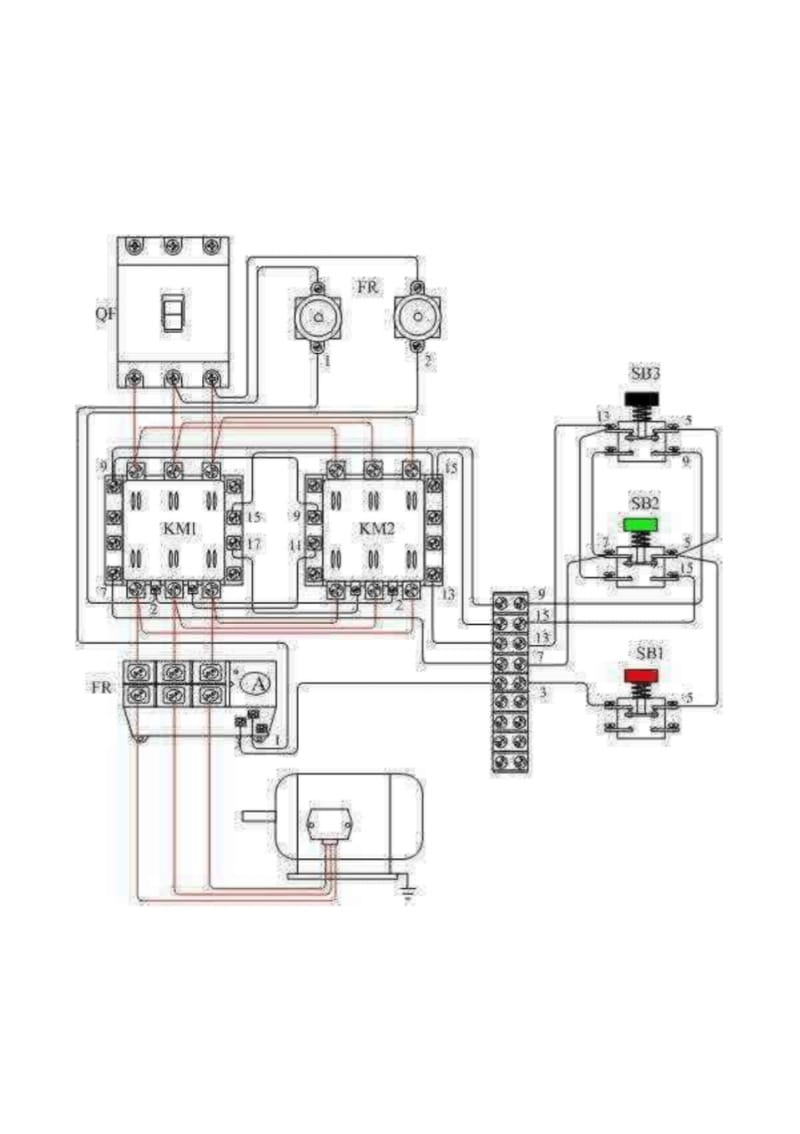 交流接触器控制电机正反转实物接线图.pdf_第1页