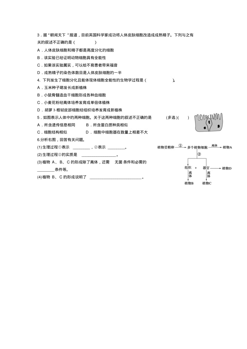 人教版高中生物必修一第6章第2节细胞的分化学案、同步练习.pdf_第3页