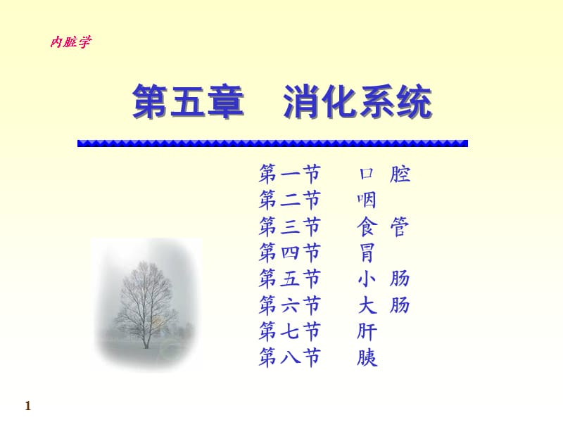 消化系统.ppt_第1页