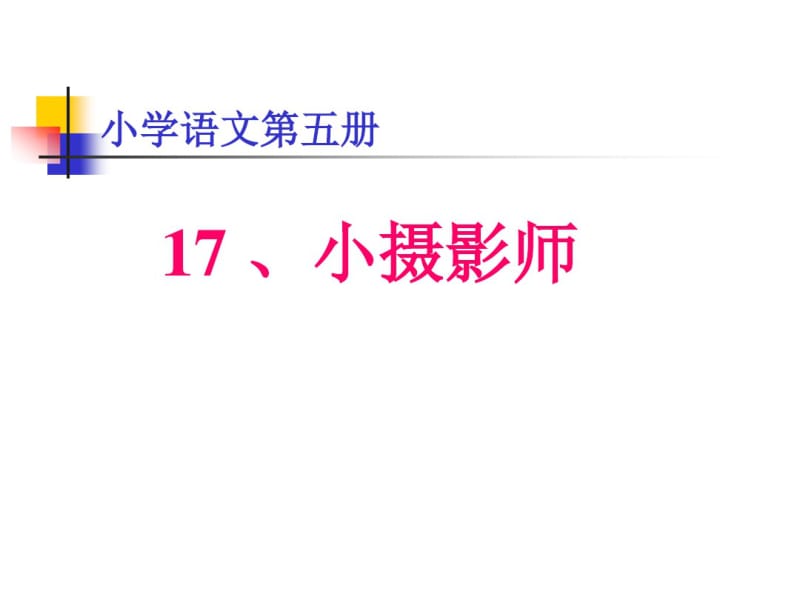 三年级语文上册小摄影家1课件人教新课标版.pdf_第1页