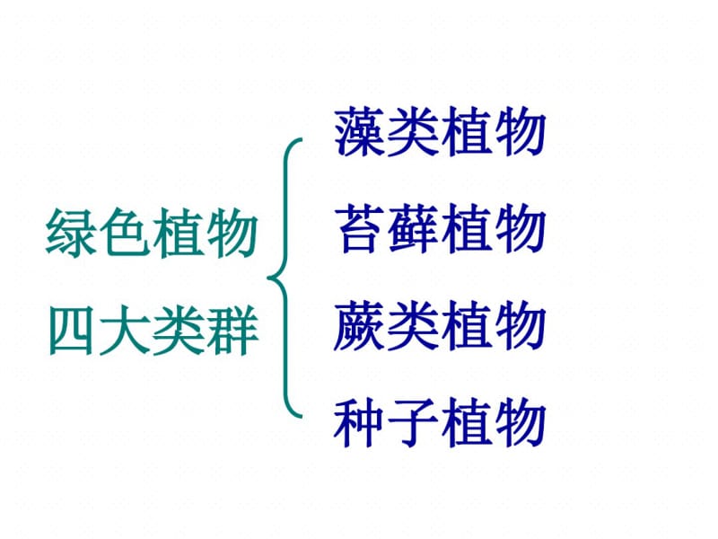 人教版七年级生物上册3.1.1藻类、苔藓和蕨类植物课件(共47张PPT).pdf_第3页