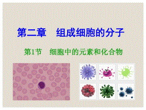 最新高中生物必修一第二章《组成细胞的分子》PPT课件.pdf