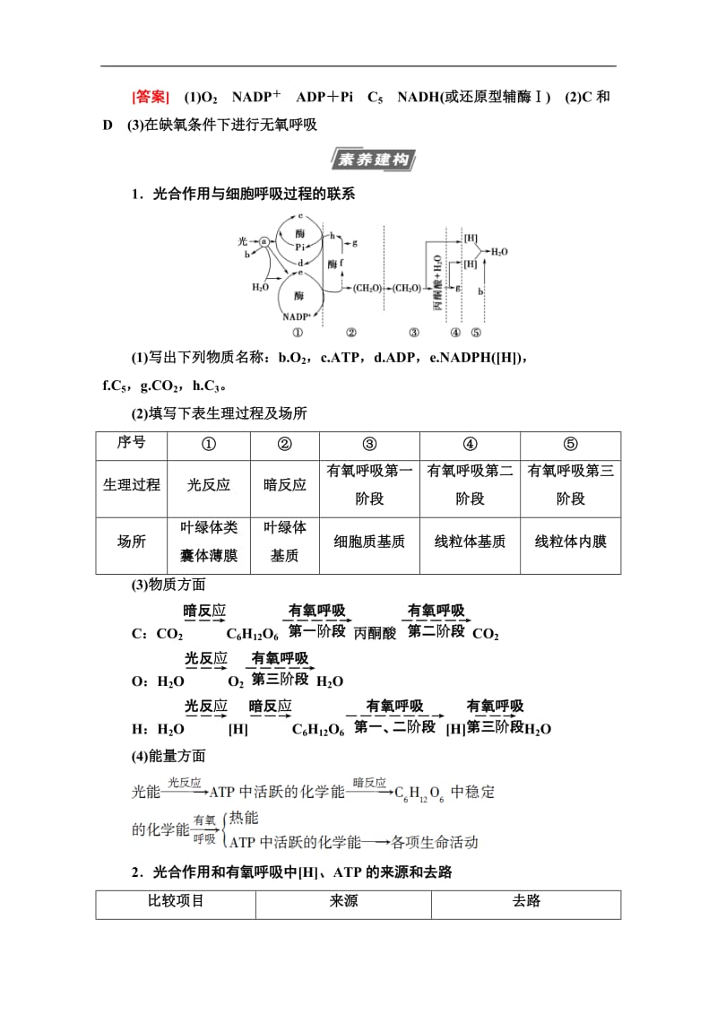 2021高三生物人教版一轮教师用书：必修1 第3单元 素养加强课2 光合作用细胞呼吸的综合 Word版含解析.doc_第2页