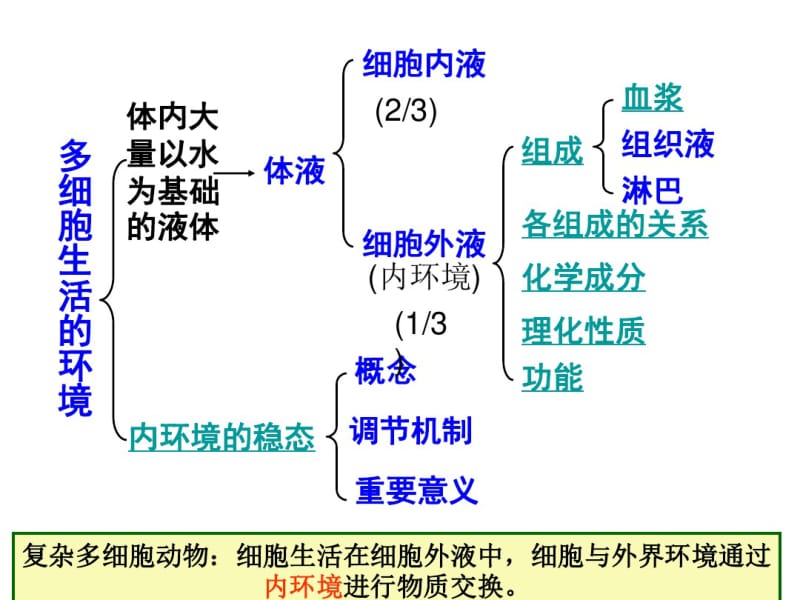 1.人体内环境和稳态.pdf_第3页