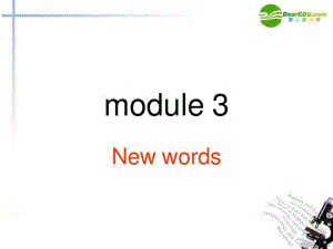 高中英语module3newwords课件外研版必修3.pdf