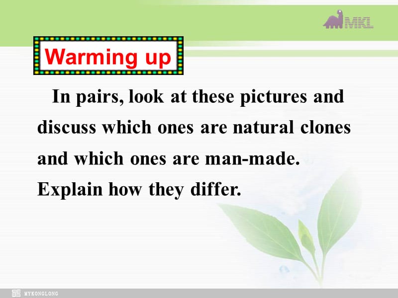 选修八 2.4《Unit 2　Reading》.ppt_第3页