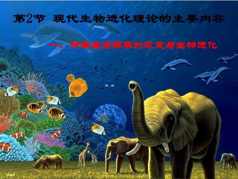 现代生物进化理论的主要内容课件.pdf_第1页