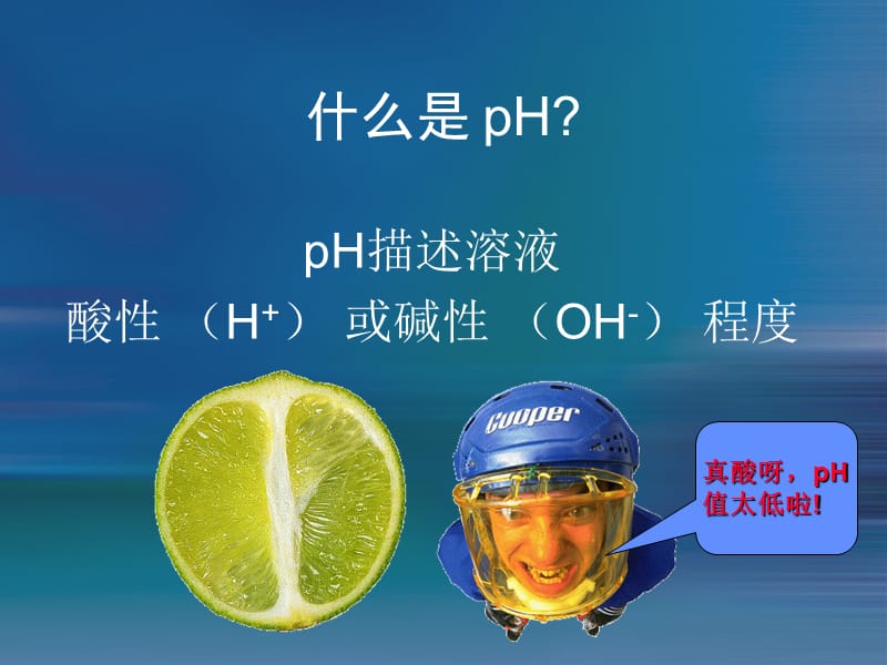 pH理论.ppt_第2页