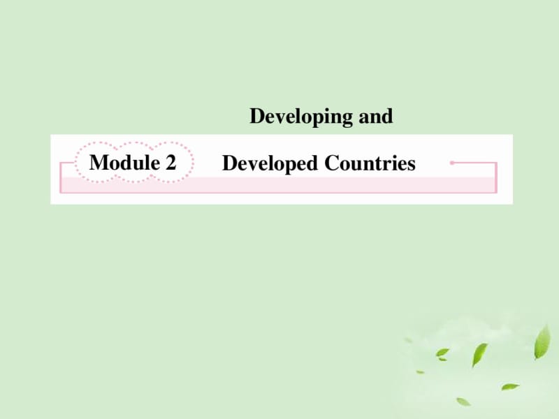 高考英语总复习Unit2DevelopingandDevelopedCountries精品课件外研版必修3.pdf_第2页