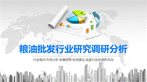 2020粮油批发行业研究调研分析.pptx