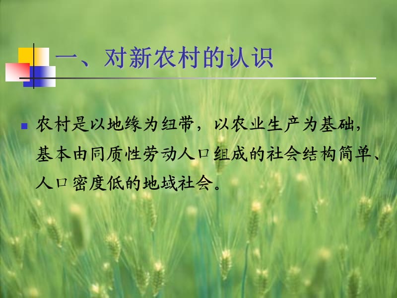 新农村建设的几个问题.ppt_第3页