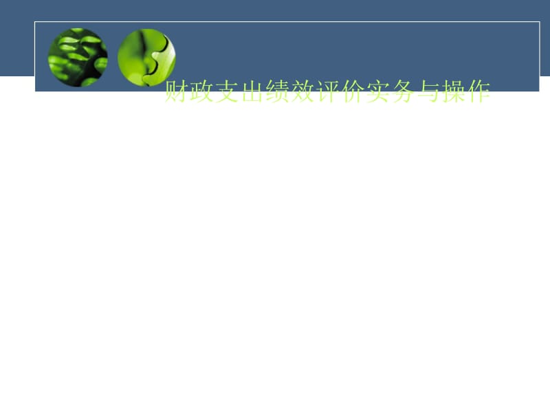 财政支出绩效评价实务与操作.ppt_第1页