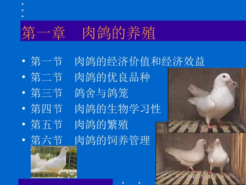 动物生产学(特种经济动物养殖)教学课件.ppt_第3页