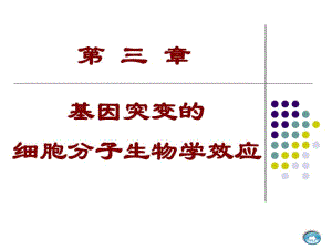 基因突变的细胞分子生物学效应.ppt资料.pdf