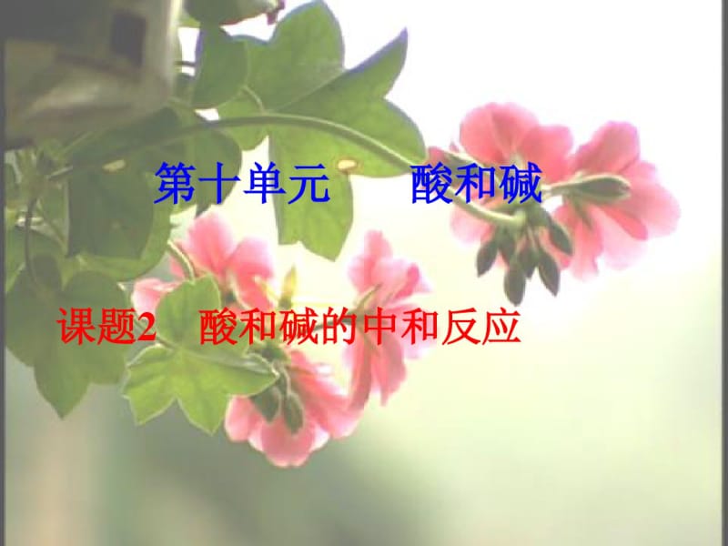 初中化学酸和碱的中和反应.pdf_第1页