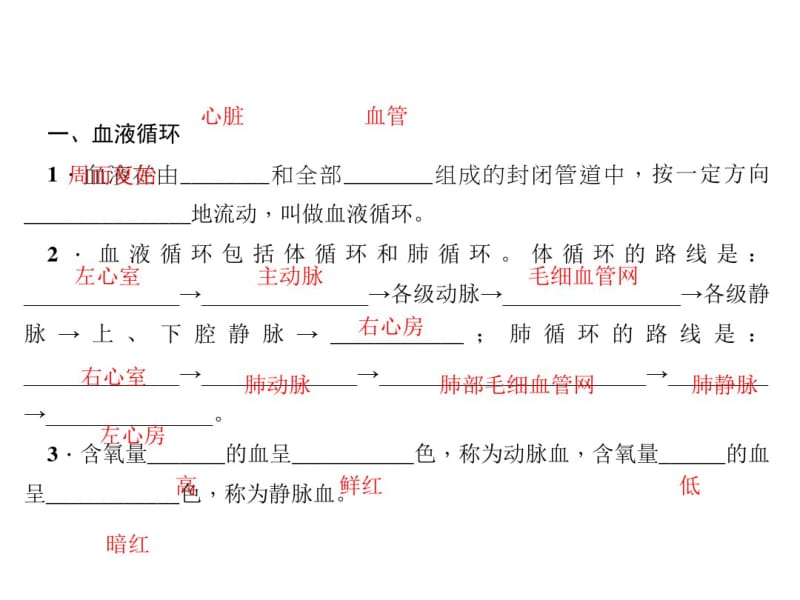 2018年秋浙教版九年级科学上册习题课件：4.3体内物质的运输课时3血液循环及血型与输血(共27张).pdf_第3页