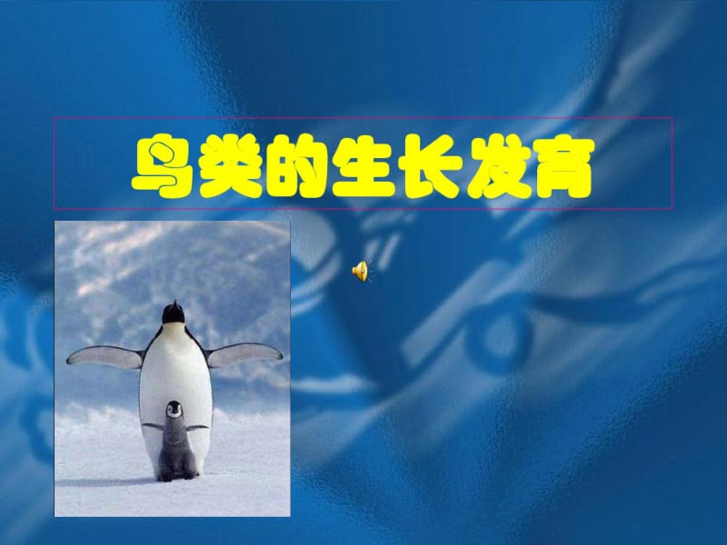 10.2动物的生殖和发育课件(北京课改版八年级上)(共53张).pdf_第1页