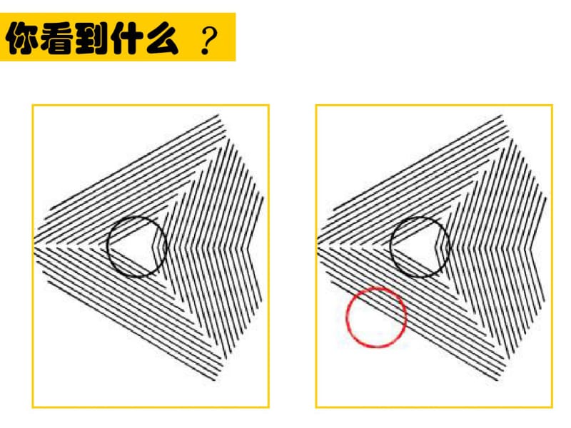 2.3信息的鉴别与评价(共21张).pdf_第1页