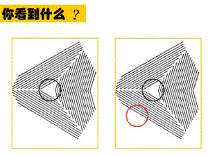 2.3信息的鉴别与评价(共21张).pdf