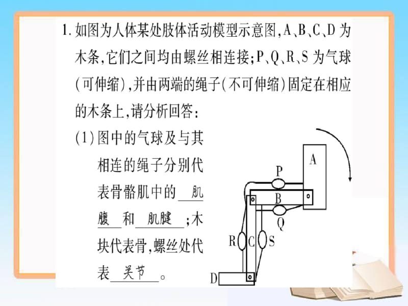 2018年八年级生物上册实验专项训练课件新版北师大版_429.pdf_第2页