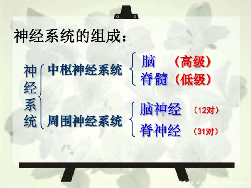 2、学习记录膝条反射实验结果的方法。.pdf_第2页