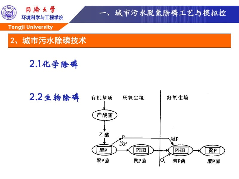 AAO污水处理工艺介绍.pdf_第3页