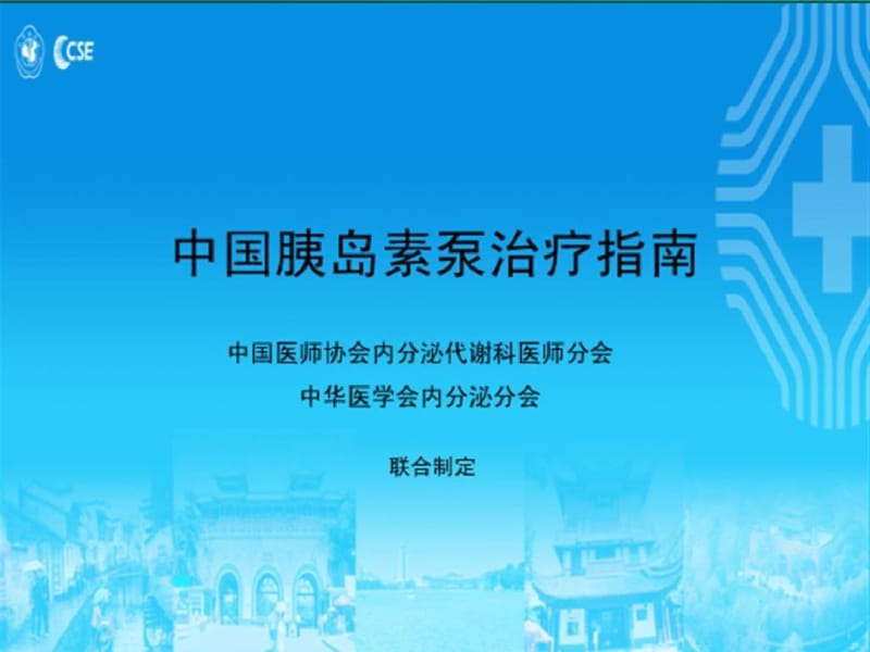 中国胰岛素泵治疗指南.pdf_第1页