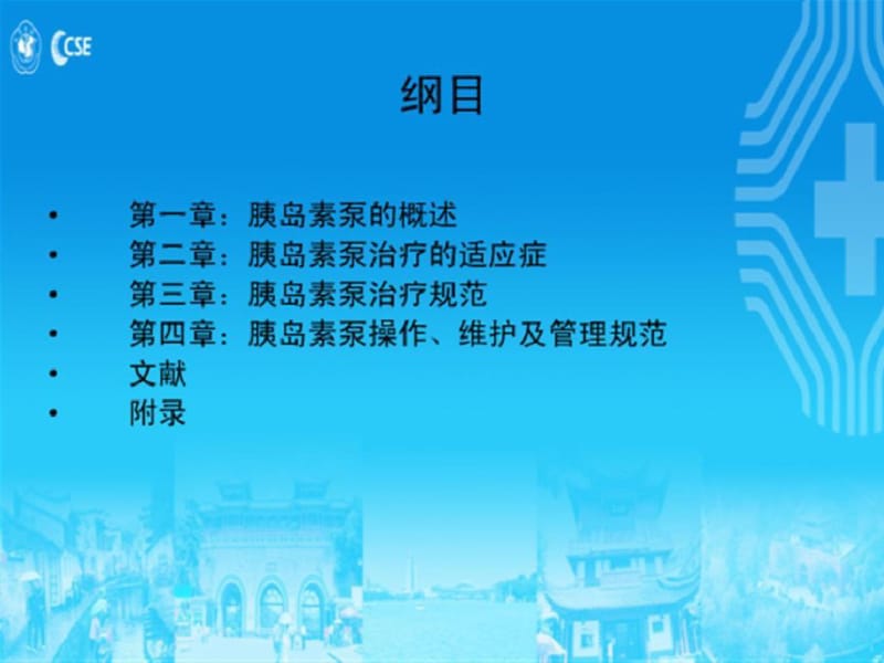 中国胰岛素泵治疗指南.pdf_第2页