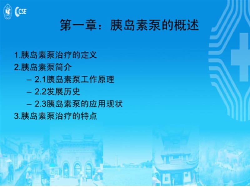 中国胰岛素泵治疗指南.pdf_第3页