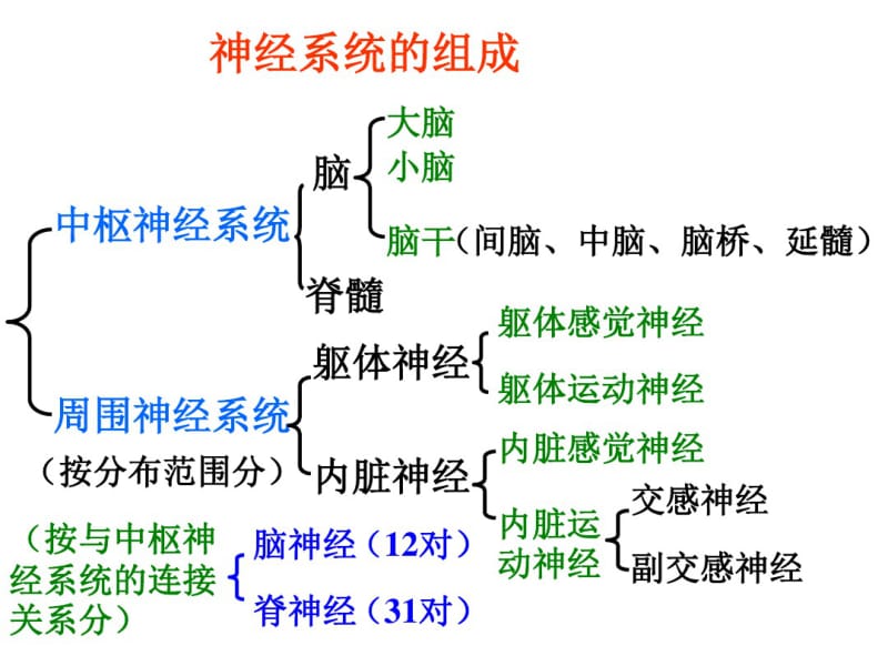 人教版七年级生物下册第6章第2节神经系统的组成(共43张).pdf_第1页