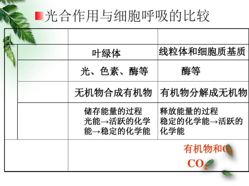 人教版高中生物必修一第六章第1节《细胞的增殖》优秀课件(共44张).pdf_第1页