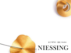 niessing系列说明.pdf