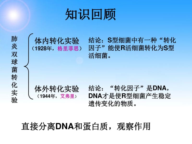 T2噬菌体侵染实验.pdf_第2页