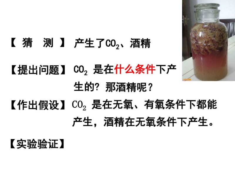 ATP的主要来源——细胞呼吸1.pdf_第2页