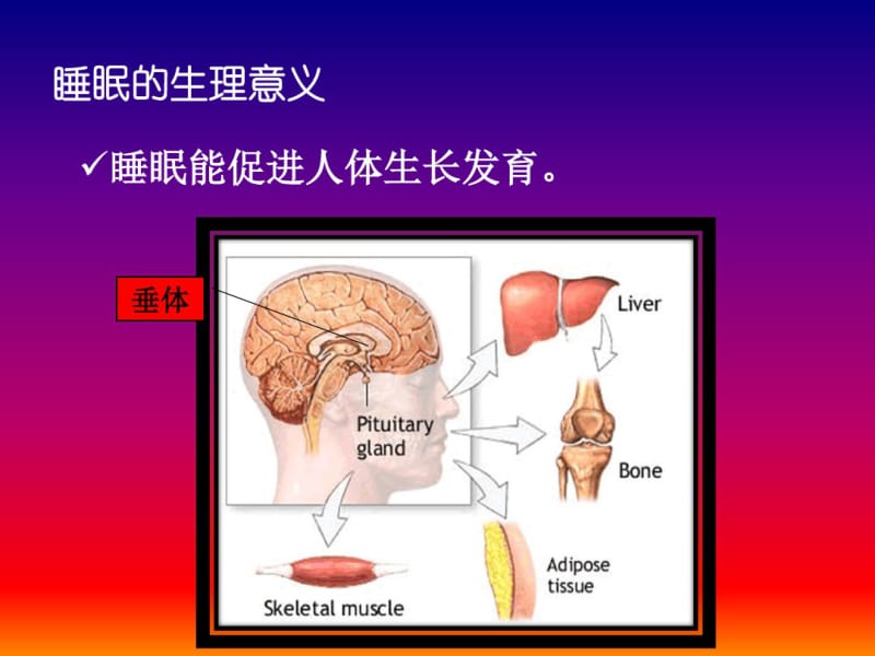 呼吸内科慢阻肺病人改善睡眠及营养讲座appt课件名师教学资料.pdf_第3页