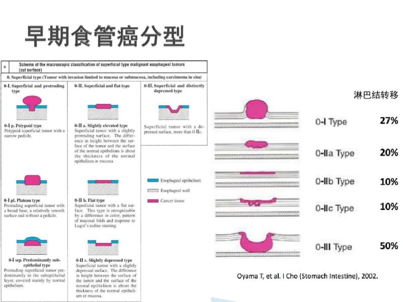 NBI+放大在食管早癌诊断中的应用进展.pdf_第3页