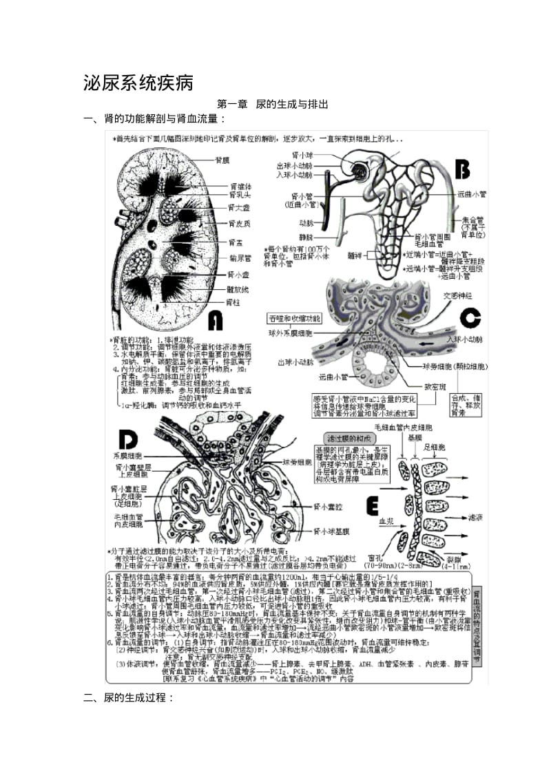 西医综合_泌尿系统疾病(生理+病理+内科+外科).pdf_第1页