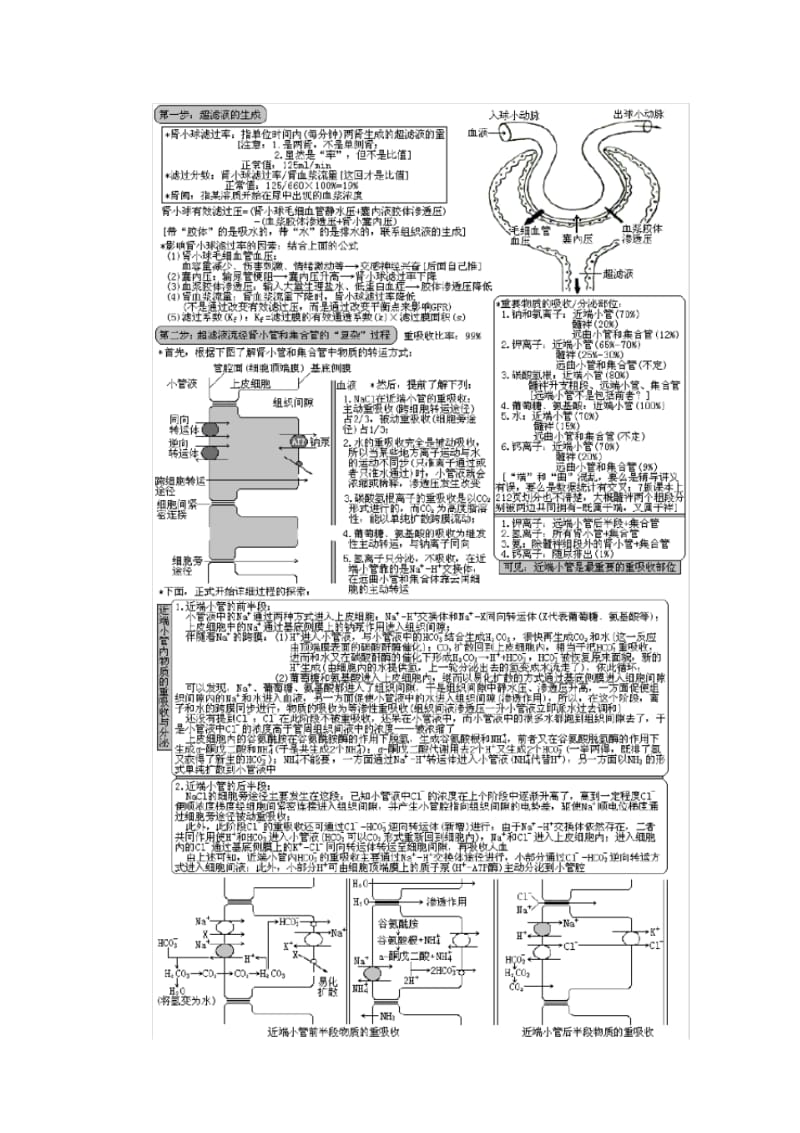 西医综合_泌尿系统疾病(生理+病理+内科+外科).pdf_第2页