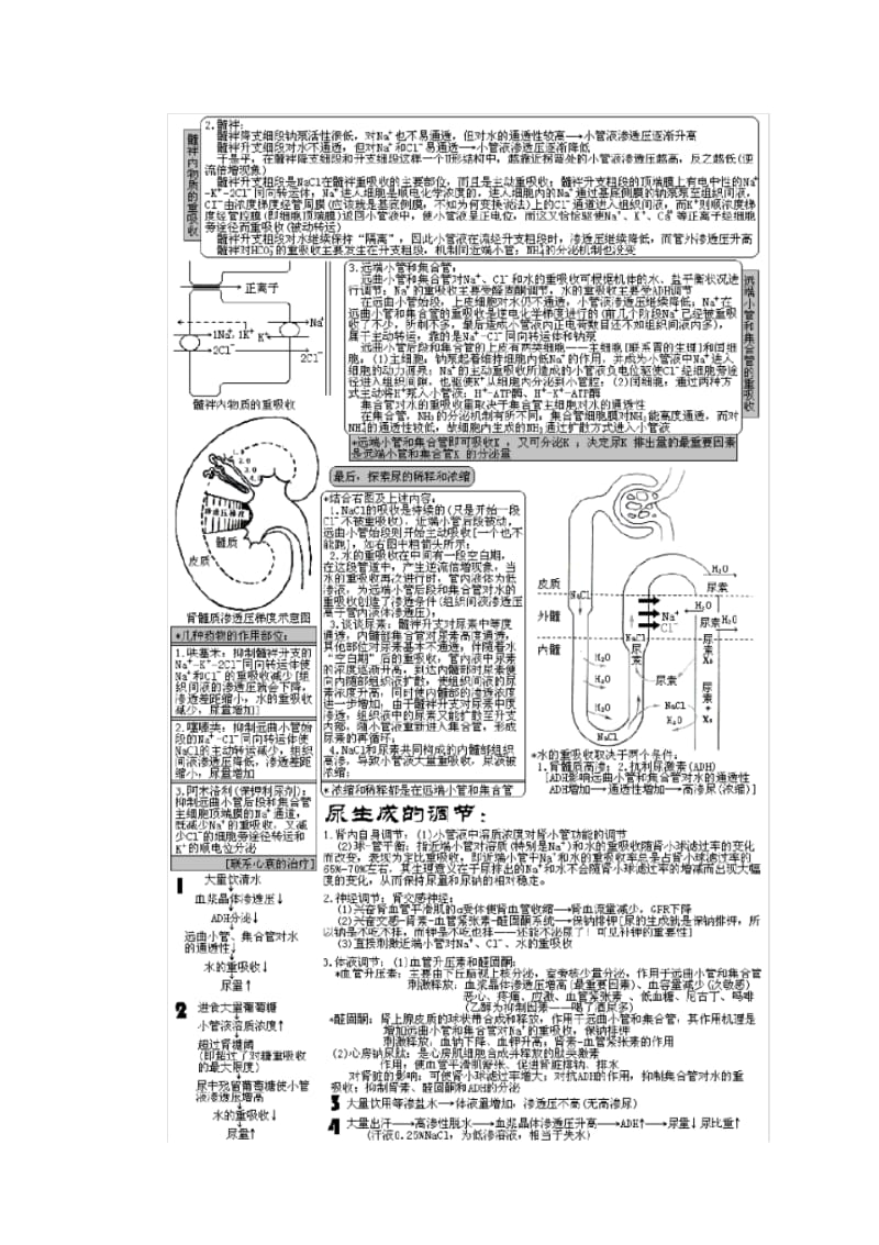 西医综合_泌尿系统疾病(生理+病理+内科+外科).pdf_第3页