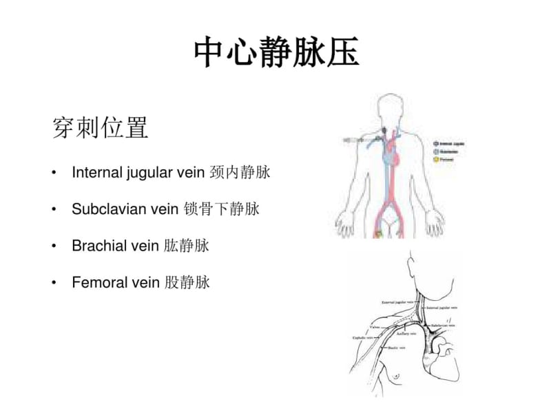 中心静脉压CVP.pdf_第3页