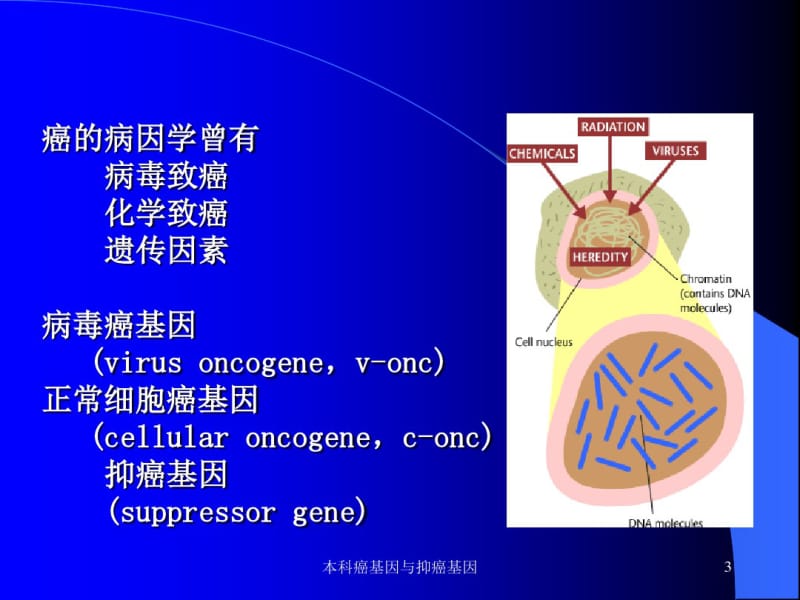 肿瘤标志物的研究历史.pdf_第3页