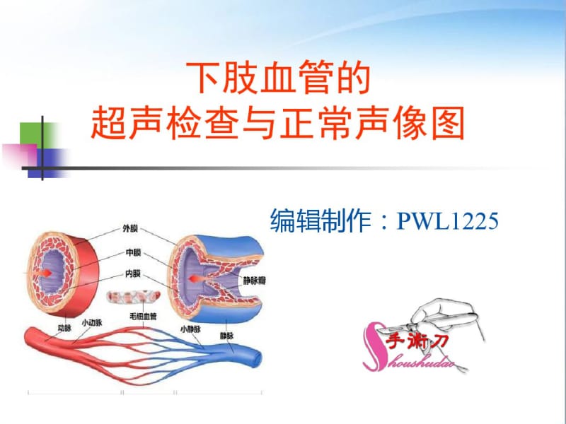 下肢血管的超声检查及正常声像图.pdf_第1页