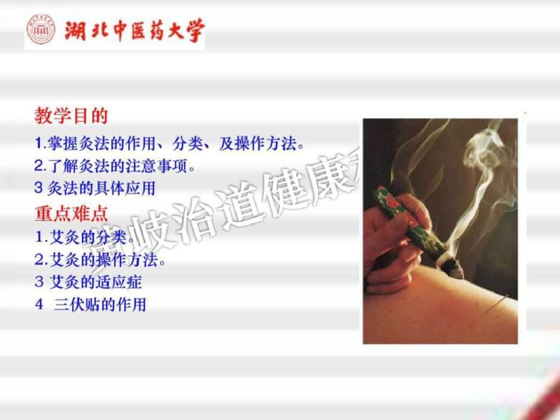 中医艾灸疗法(史上最全精品)_图文..pdf_第2页