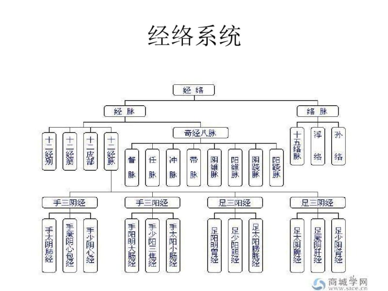 中医经络学说.pdf_第3页