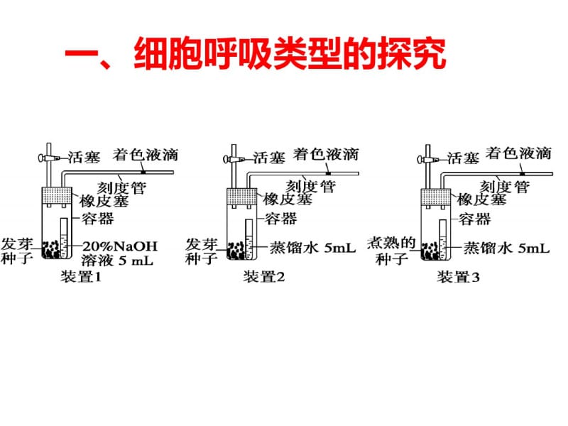 细胞呼吸实验探究.pdf_第2页