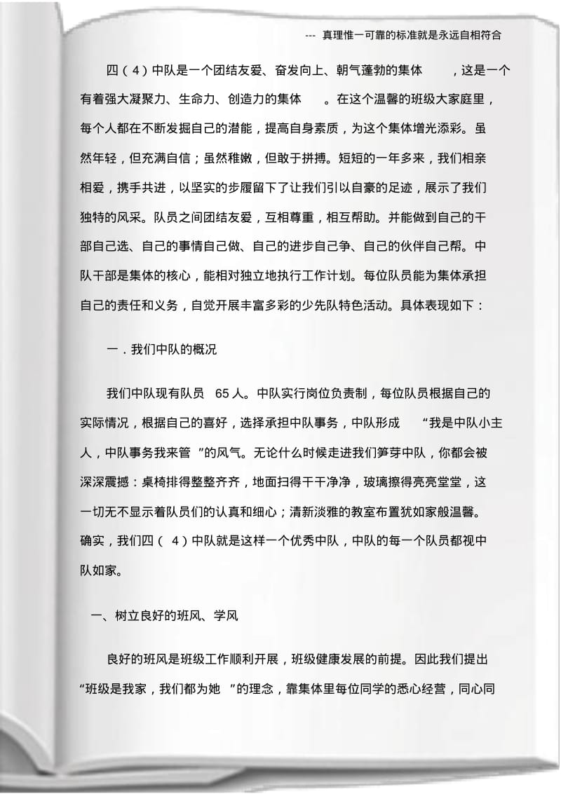 (先进事迹材料)优秀中队事迹材料.pdf_第3页